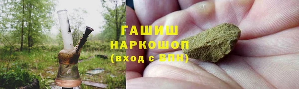 эйфоретик Няндома