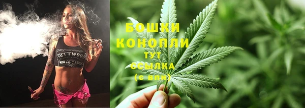 прущие грибы Осинники