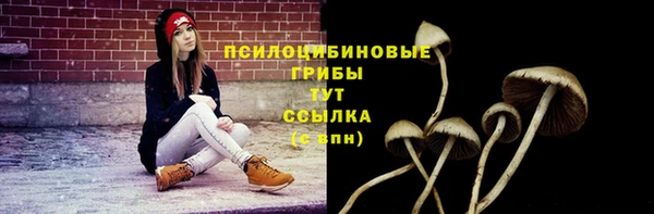 сатива Нязепетровск