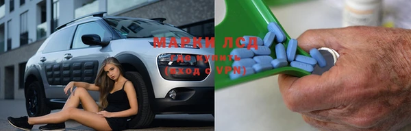 сатива Нязепетровск