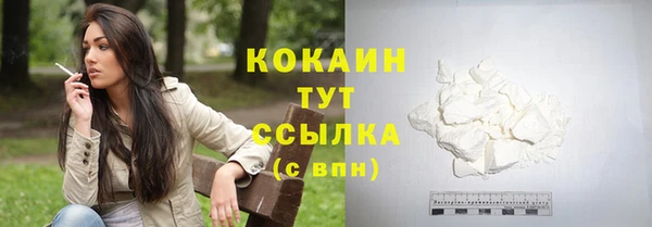 эйфоретик Няндома