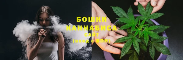 шишки Нягань