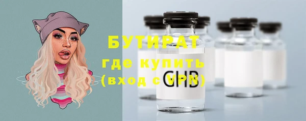эйфоретик Няндома