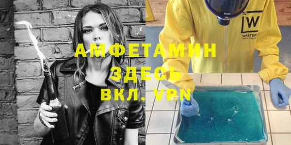 шишки Нягань