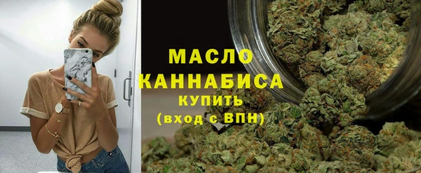 эйфоретик Няндома