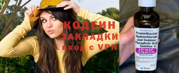 сатива Нязепетровск