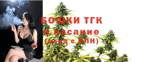 шишки Нягань
