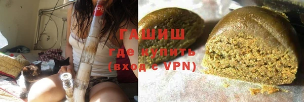 эйфоретик Няндома